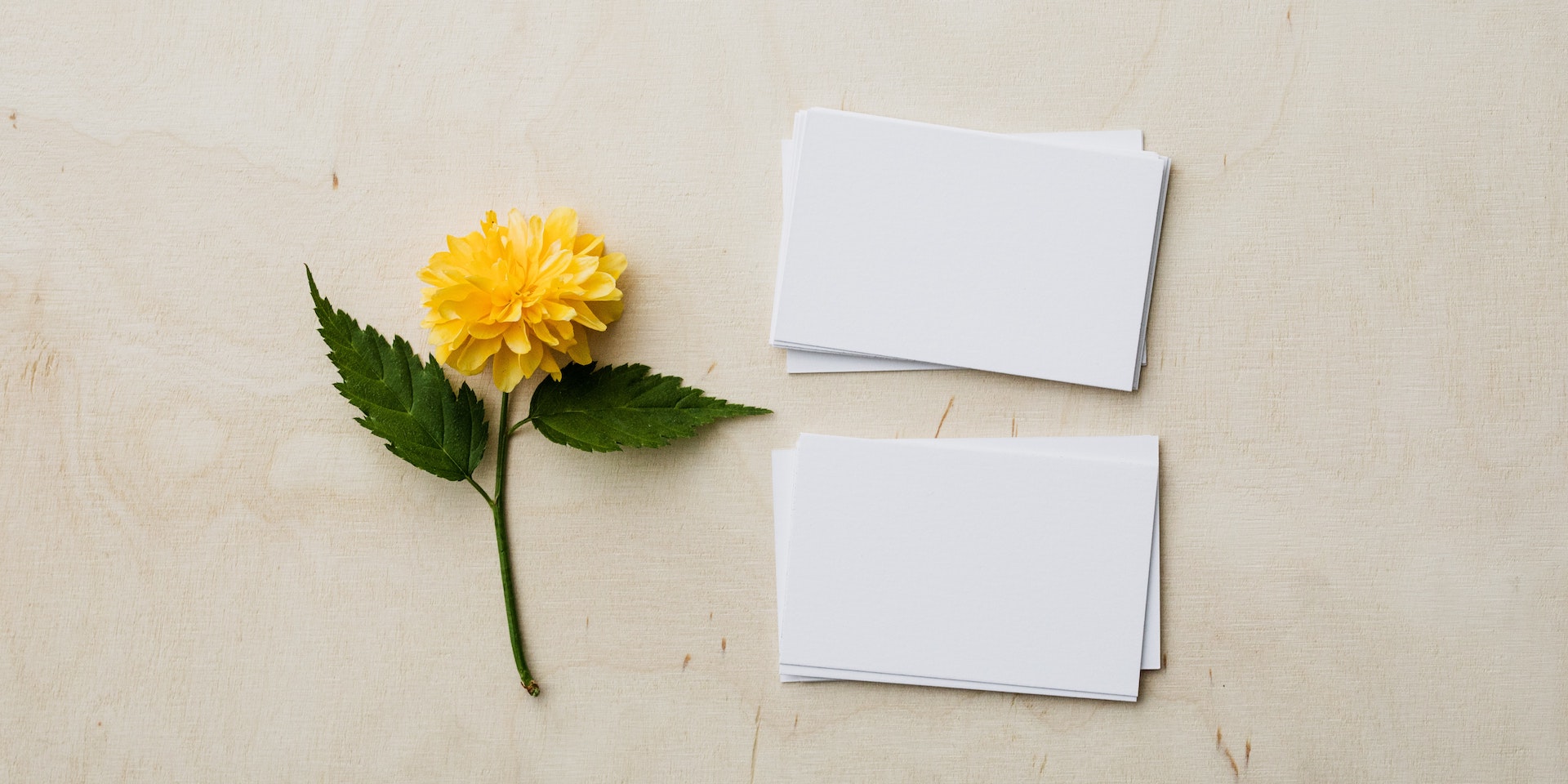 Best Designs and Materials for Real Estate Business Cards