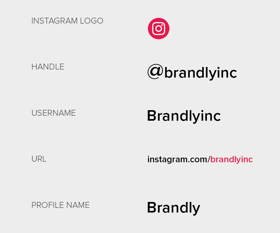 How To Display Instagram On Business Cards Brandly Blog